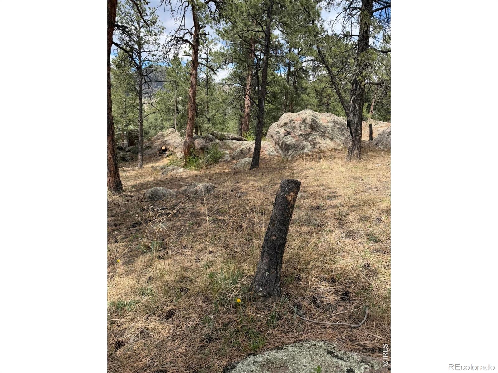 MLS Image #25 for 8  estes park estates drive,lyons, Colorado