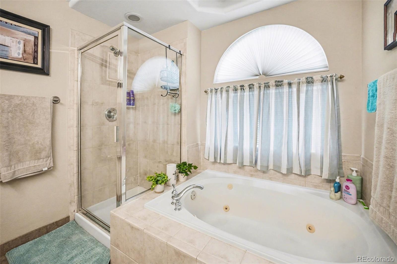 MLS Image #26 for 9139  anasazi indian way,highlands ranch, Colorado