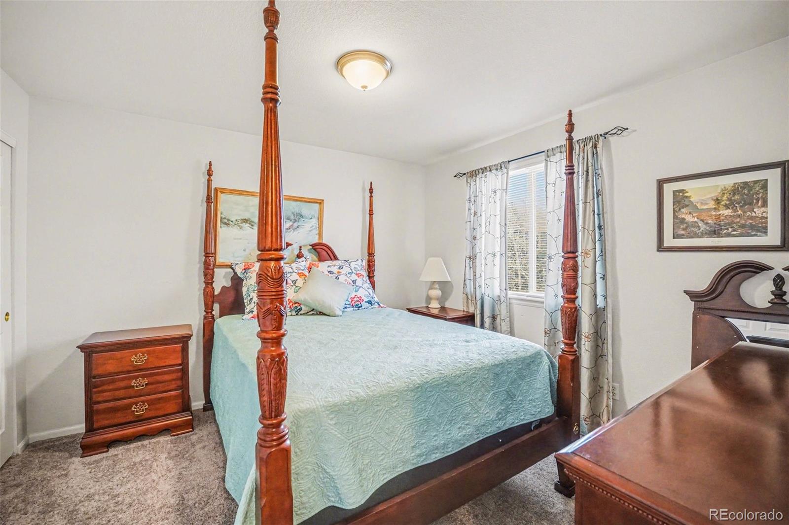 MLS Image #27 for 9139  anasazi indian way,highlands ranch, Colorado