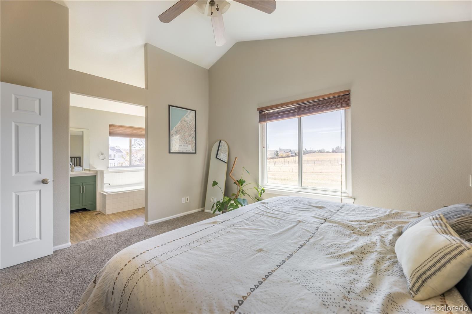 MLS Image #19 for 4722  sutton street,castle rock, Colorado