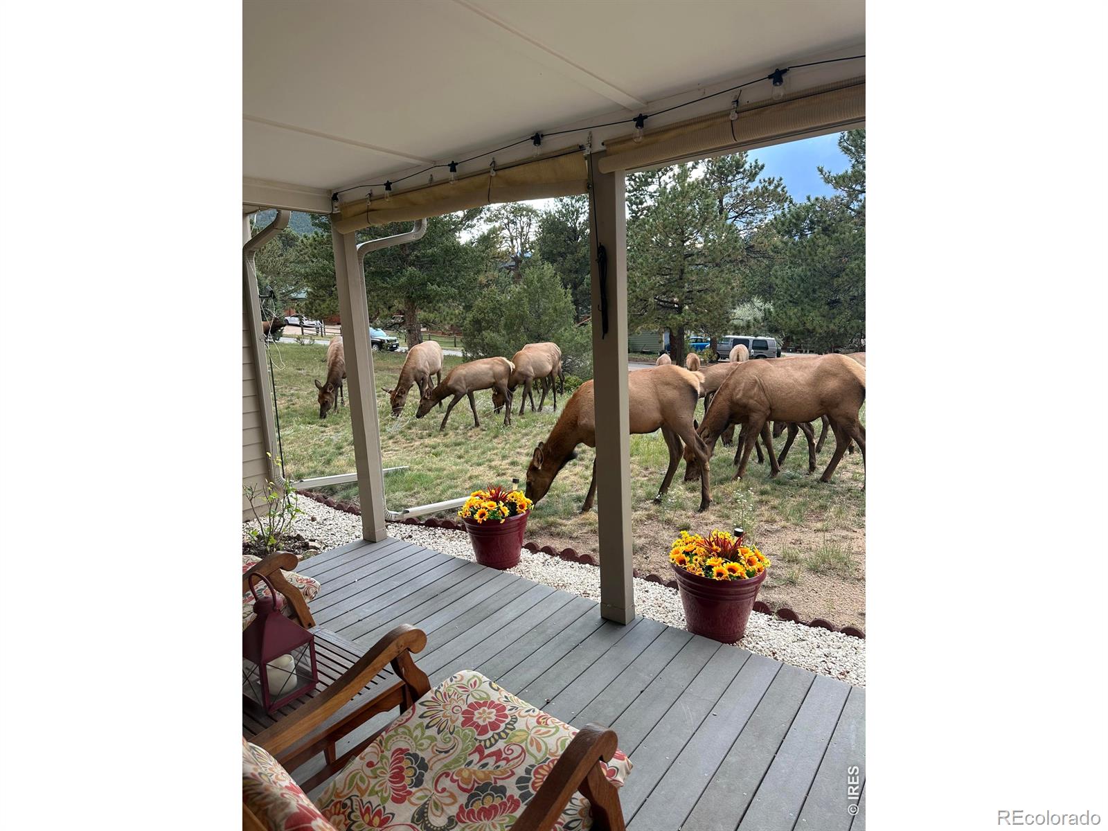 MLS Image #33 for 820  riverside drive,estes park, Colorado