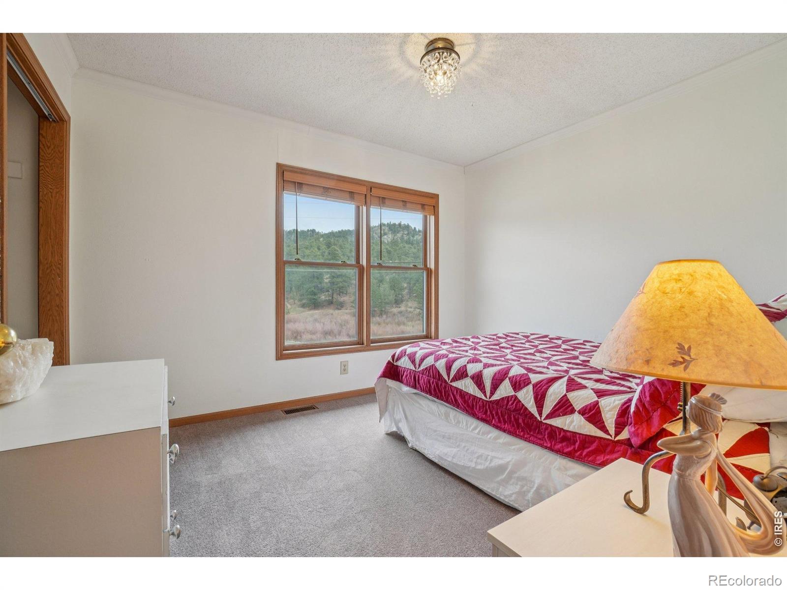 MLS Image #18 for 1860  raven avenue,estes park, Colorado