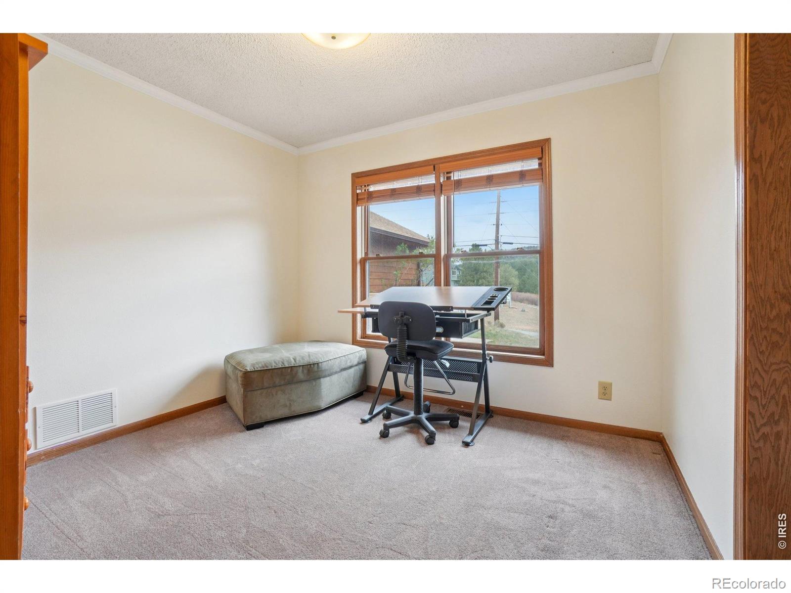 MLS Image #20 for 1860  raven avenue,estes park, Colorado