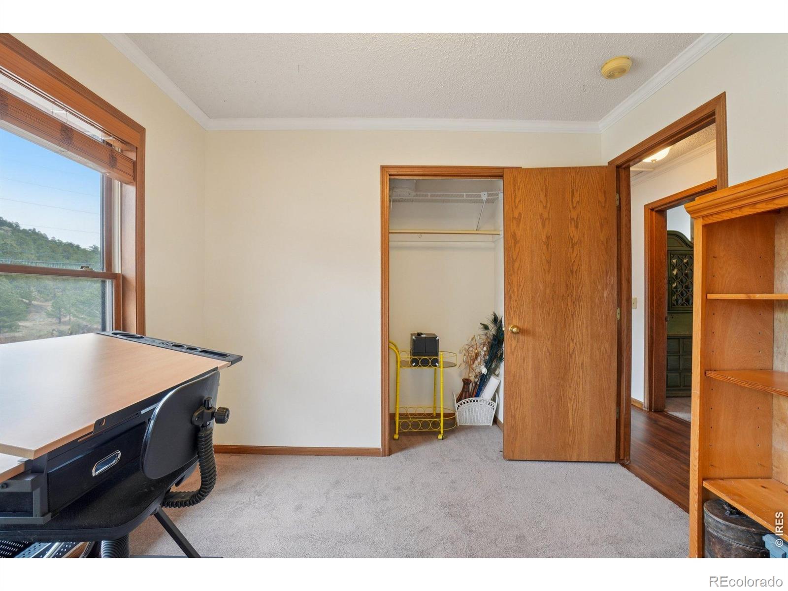 MLS Image #21 for 1860  raven avenue,estes park, Colorado
