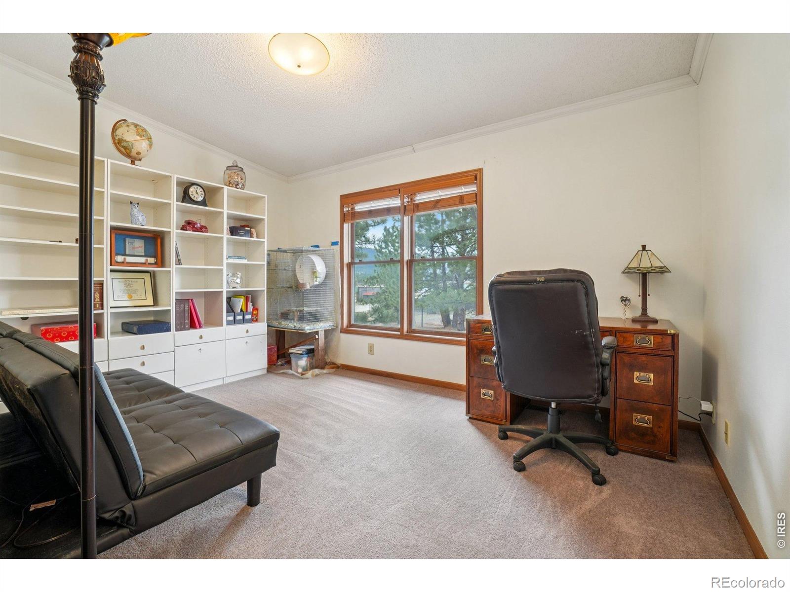 MLS Image #22 for 1860  raven avenue,estes park, Colorado