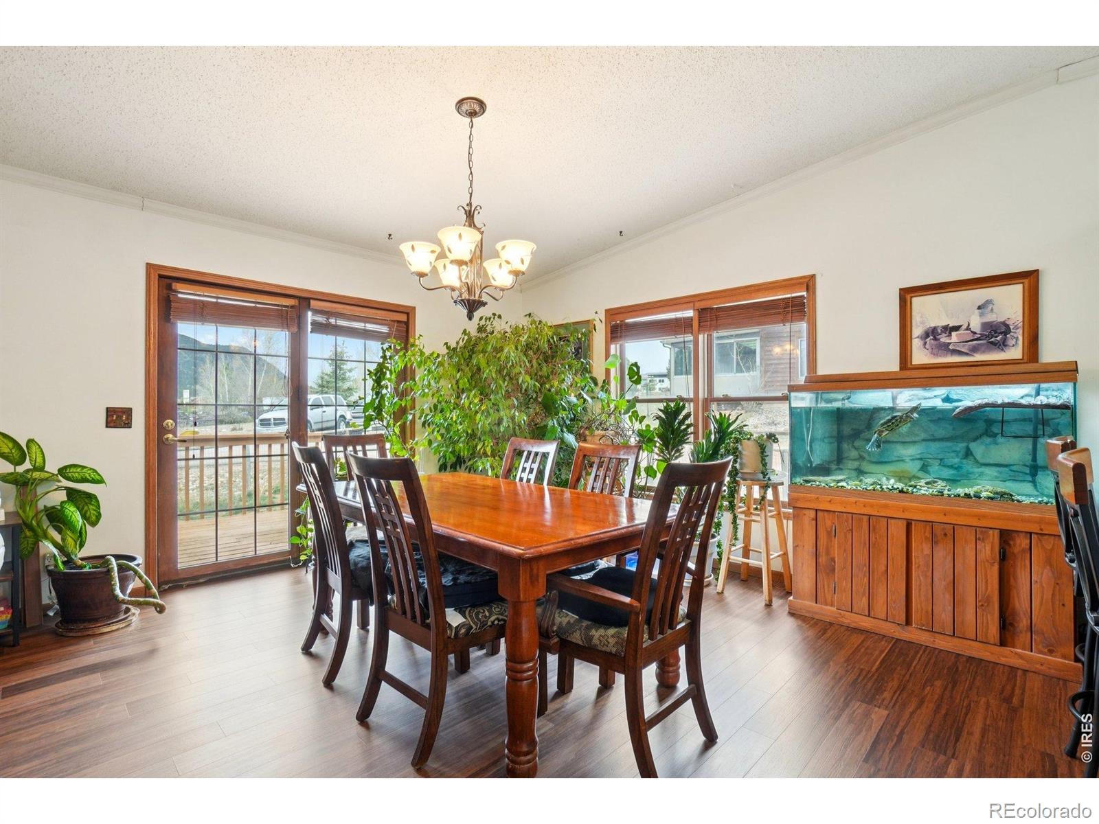 MLS Image #6 for 1860  raven avenue,estes park, Colorado