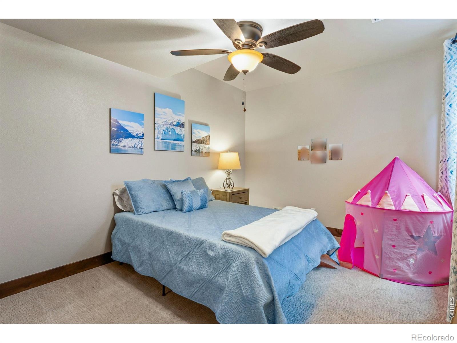 MLS Image #26 for 551  vermilion peak drive,windsor, Colorado