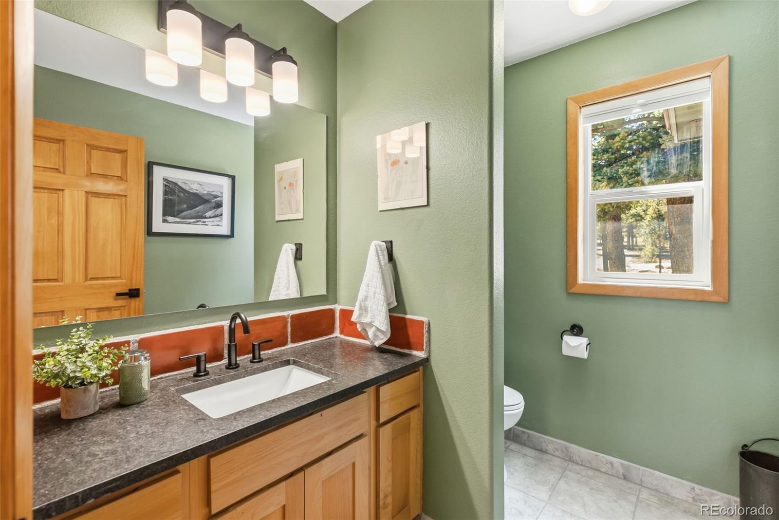 MLS Image #13 for 30477  harvard circle,buena vista, Colorado