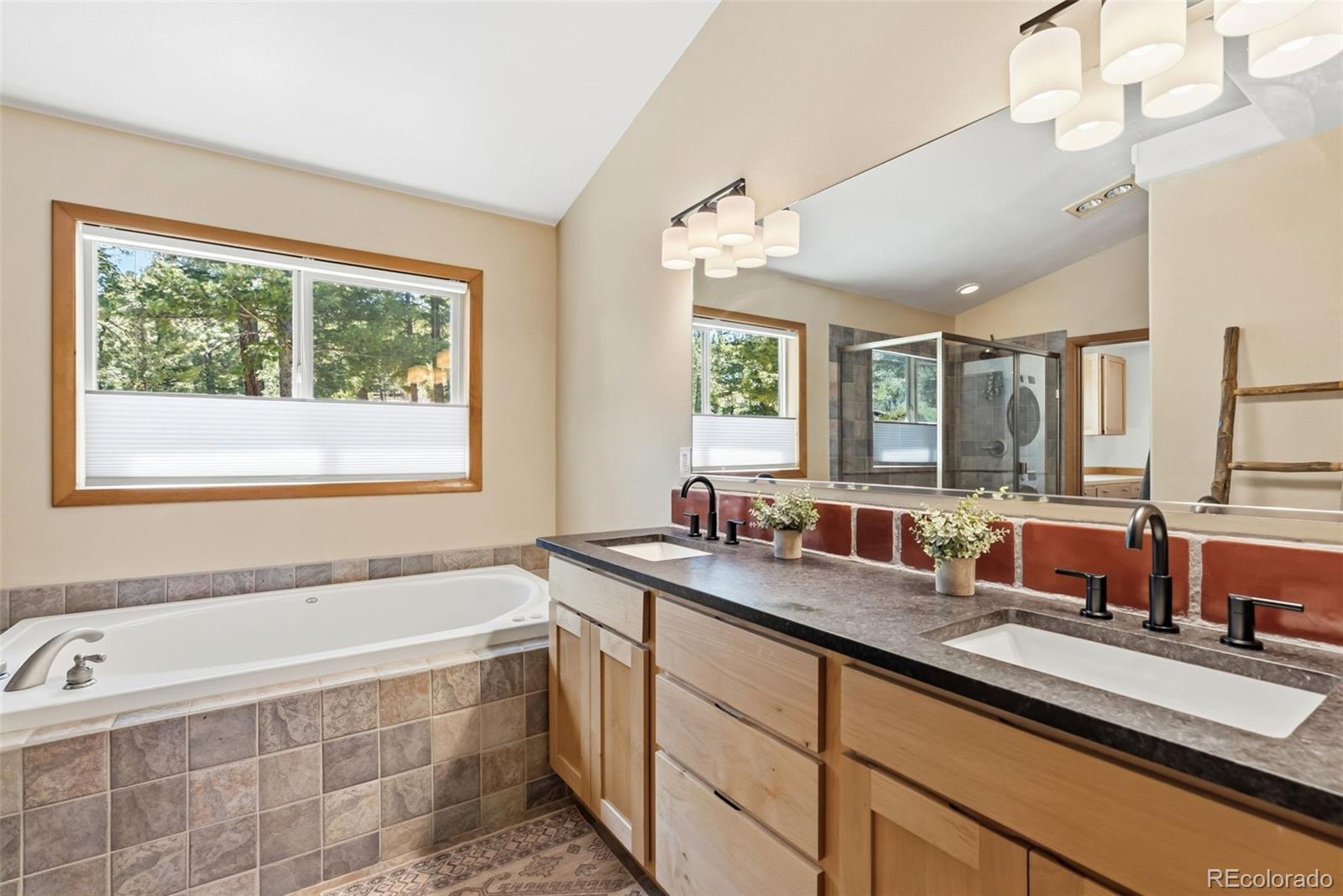 MLS Image #16 for 30477  harvard circle,buena vista, Colorado