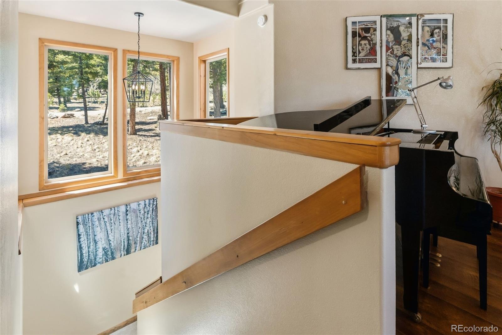 MLS Image #20 for 30477  harvard circle,buena vista, Colorado
