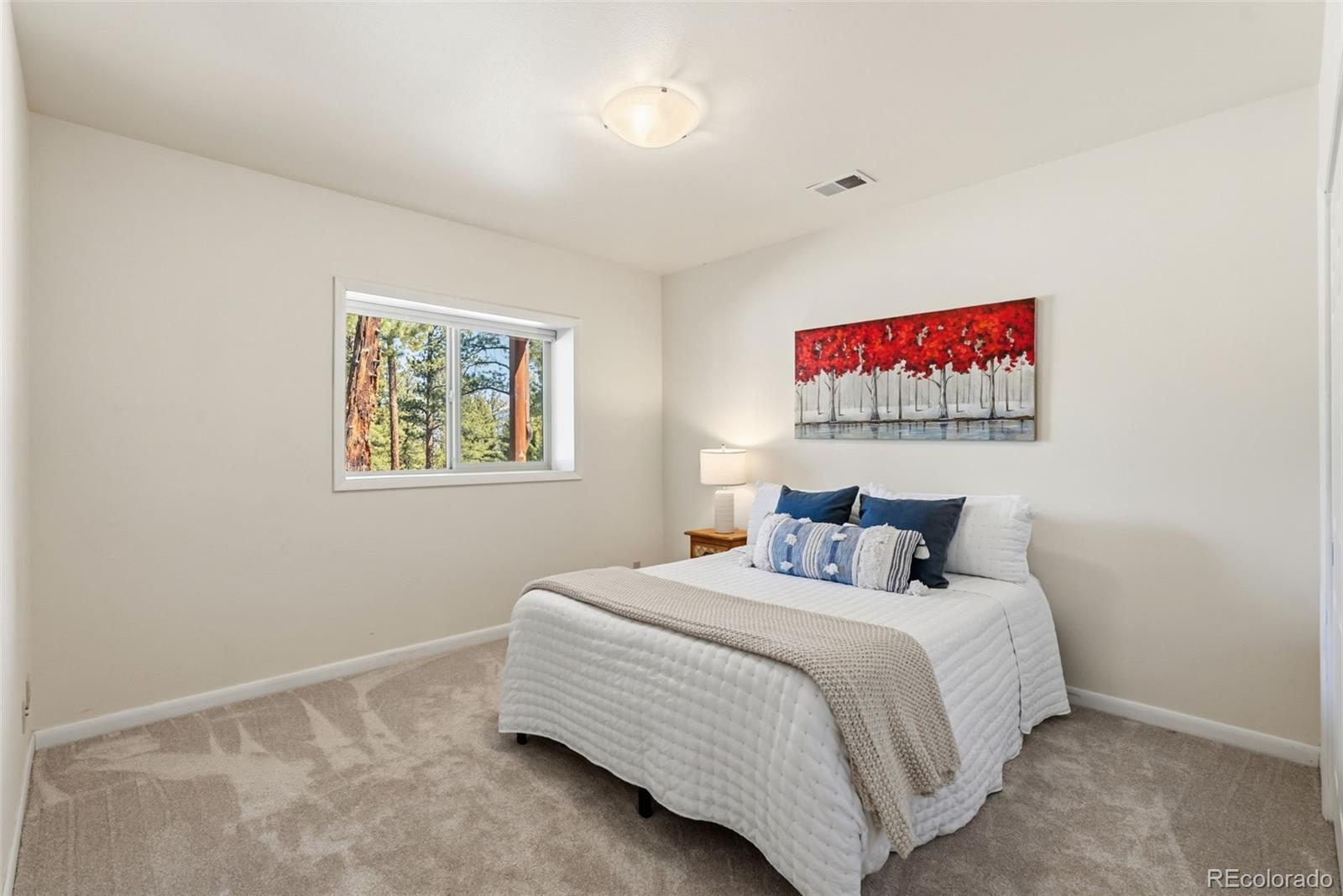 MLS Image #24 for 30477  harvard circle,buena vista, Colorado
