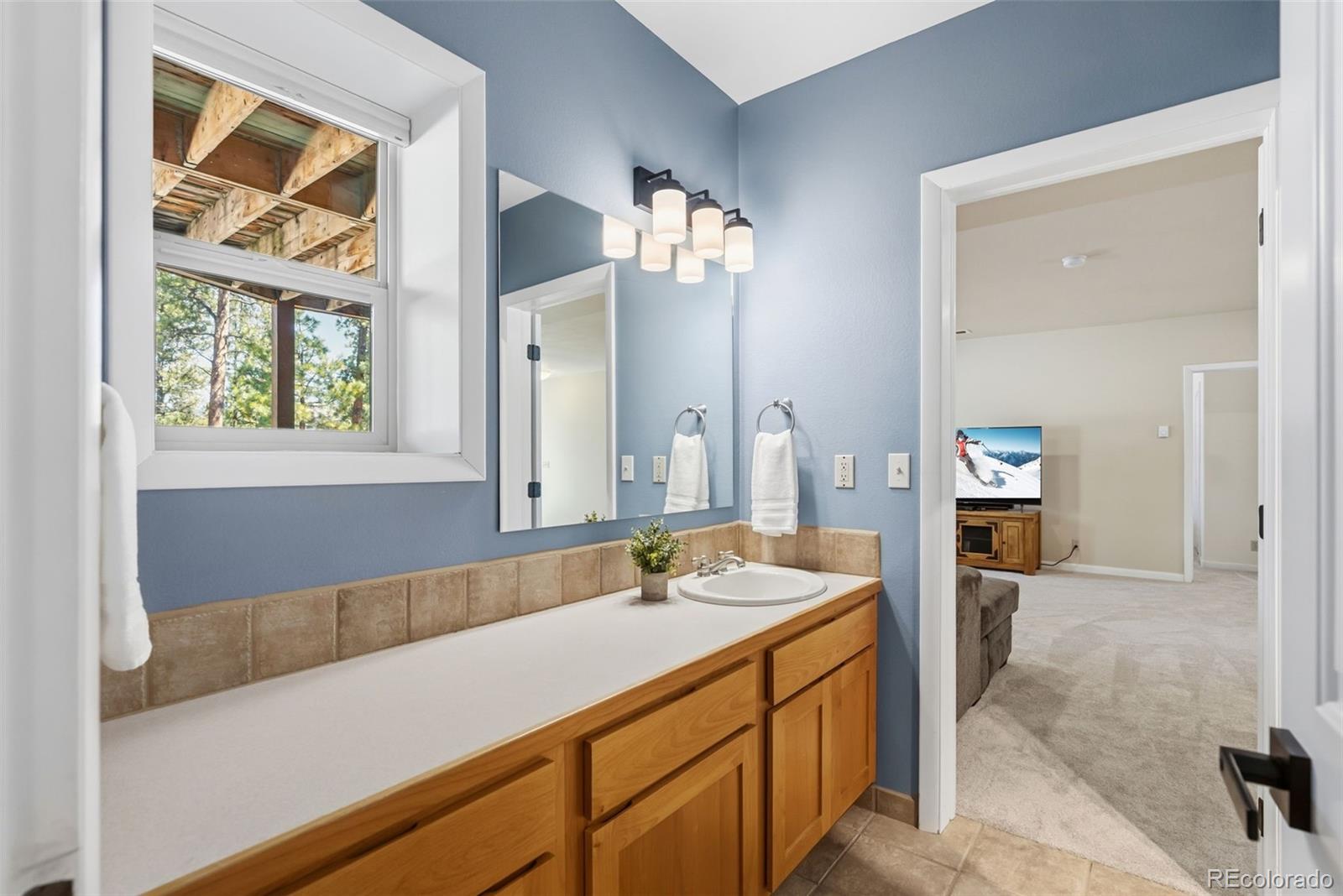 MLS Image #28 for 30477  harvard circle,buena vista, Colorado