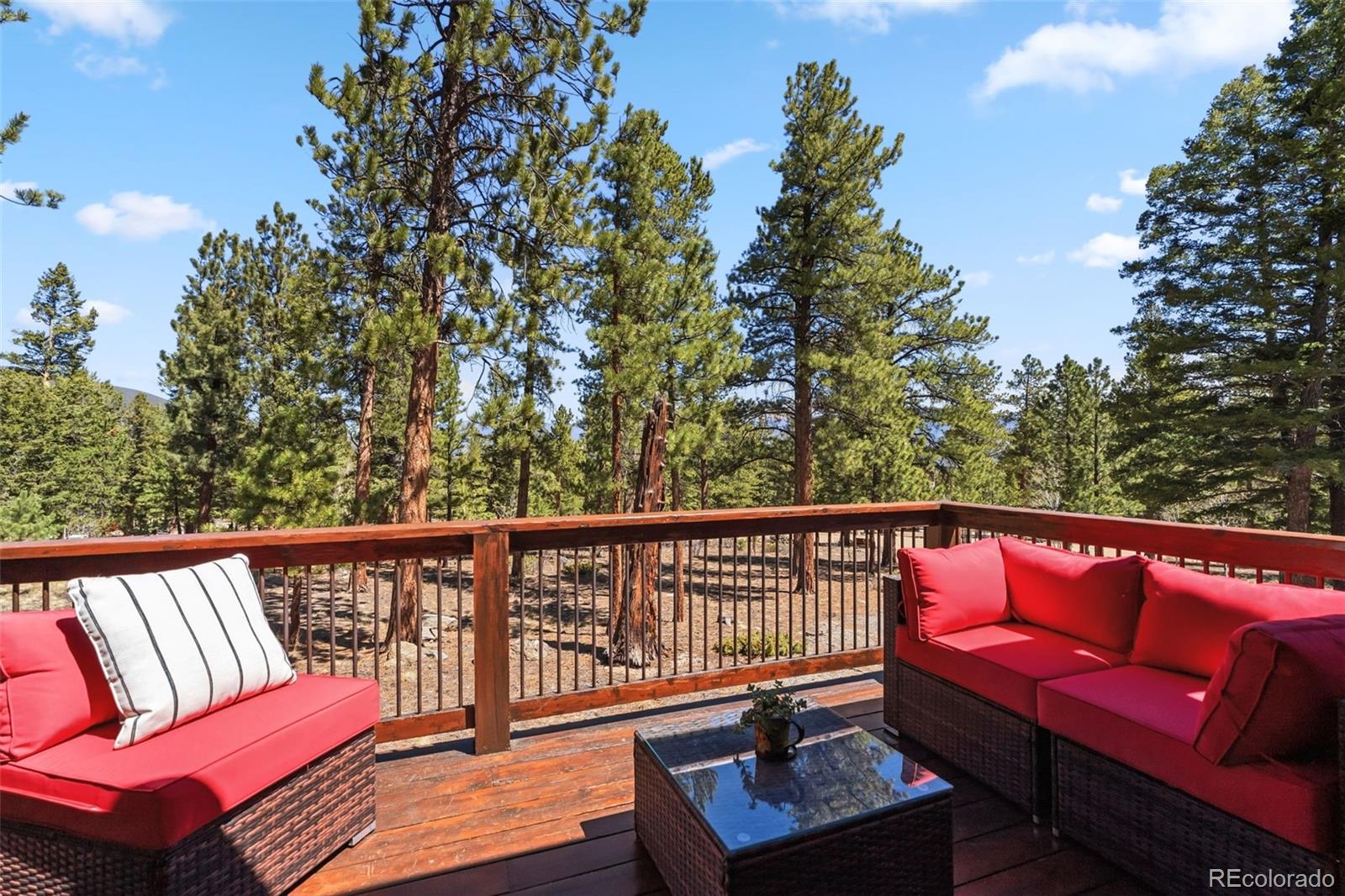 MLS Image #42 for 30477  harvard circle,buena vista, Colorado