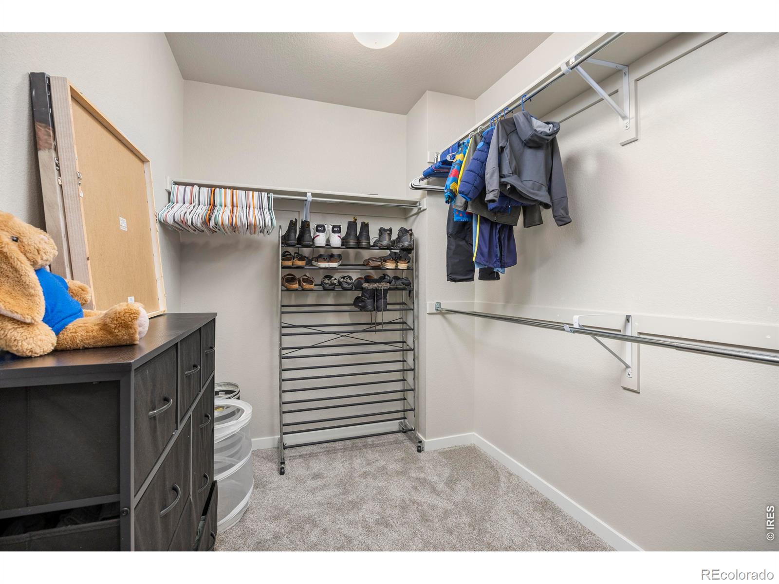 MLS Image #22 for 3803  sweetgum street,wellington, Colorado
