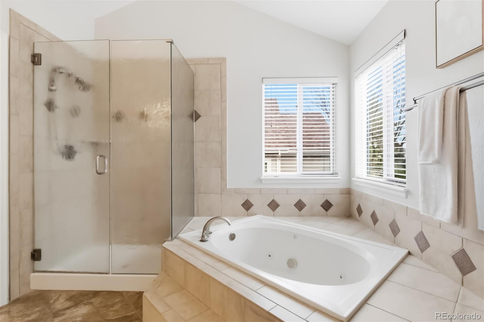 MLS Image #20 for 7356  rattlesnake drive,lone tree, Colorado