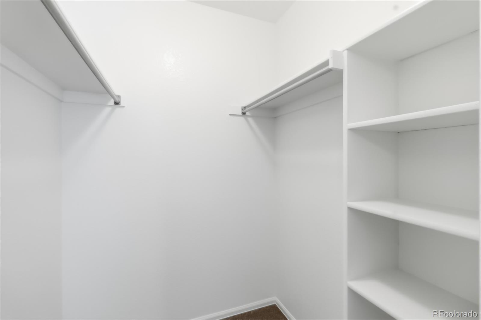MLS Image #29 for 7356  rattlesnake drive,lone tree, Colorado