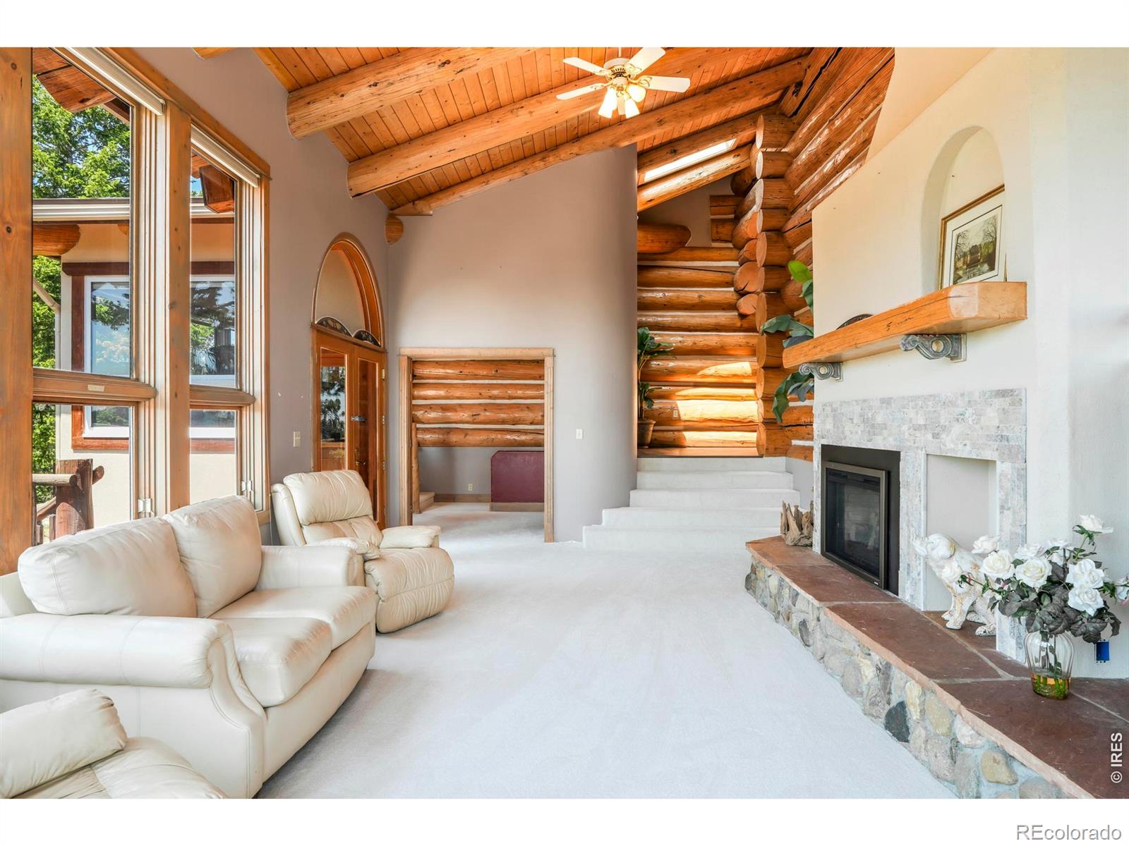 MLS Image #8 for 24043  eagle cliff trail,conifer, Colorado