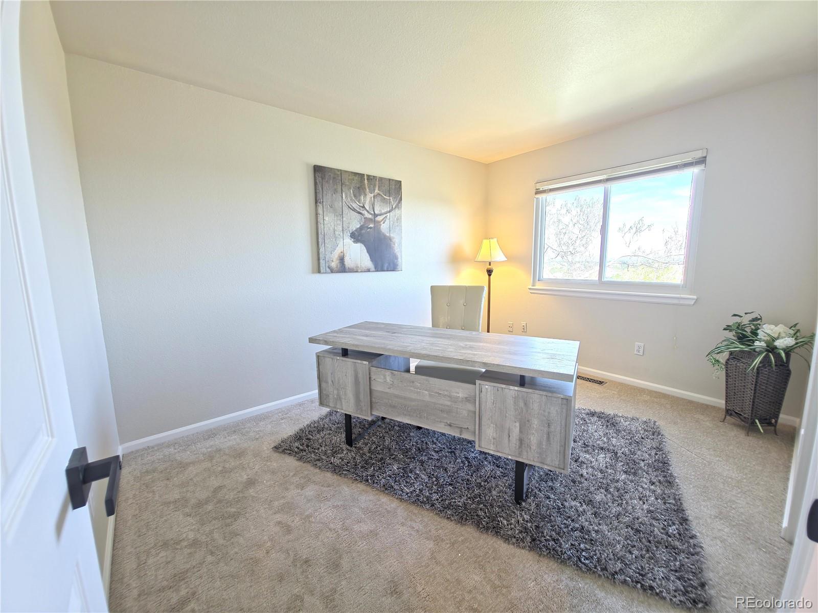 MLS Image #28 for 6945  mountain brush circle,highlands ranch, Colorado