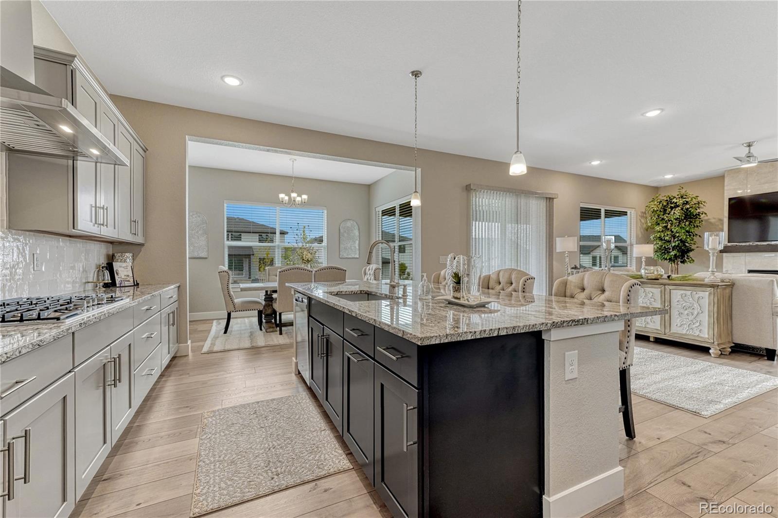 MLS Image #9 for 4861  saddle iron road,castle rock, Colorado