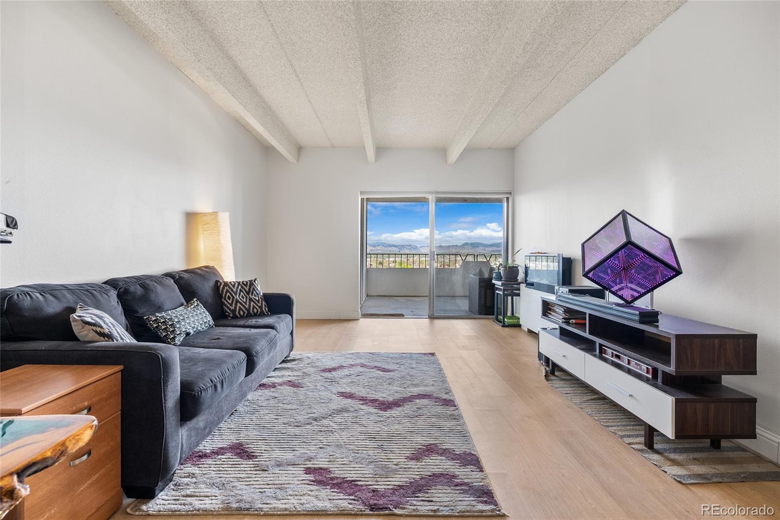 MLS Image #10 for 130 n pearl street 1206,denver, Colorado
