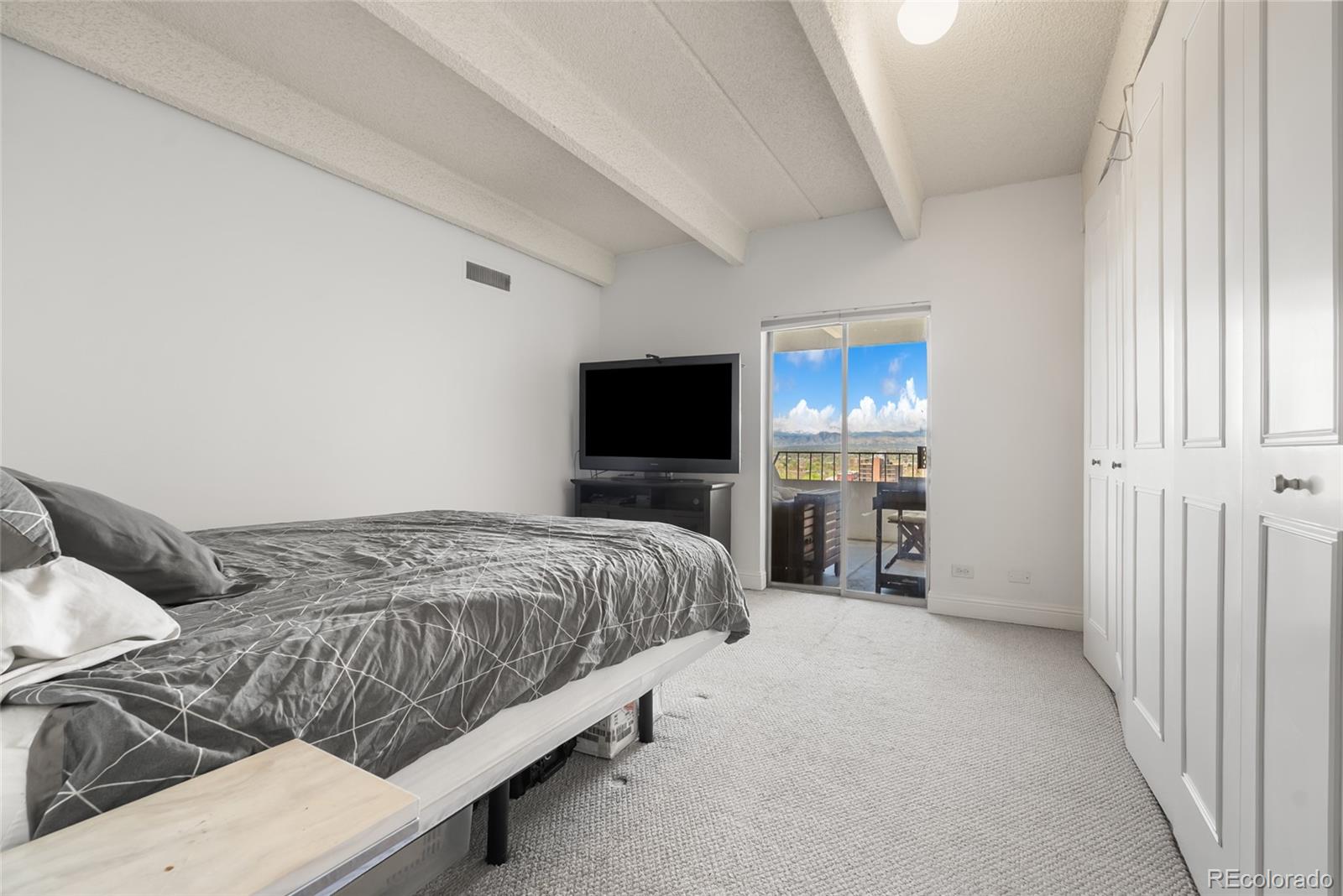 MLS Image #19 for 130 n pearl street 1206,denver, Colorado