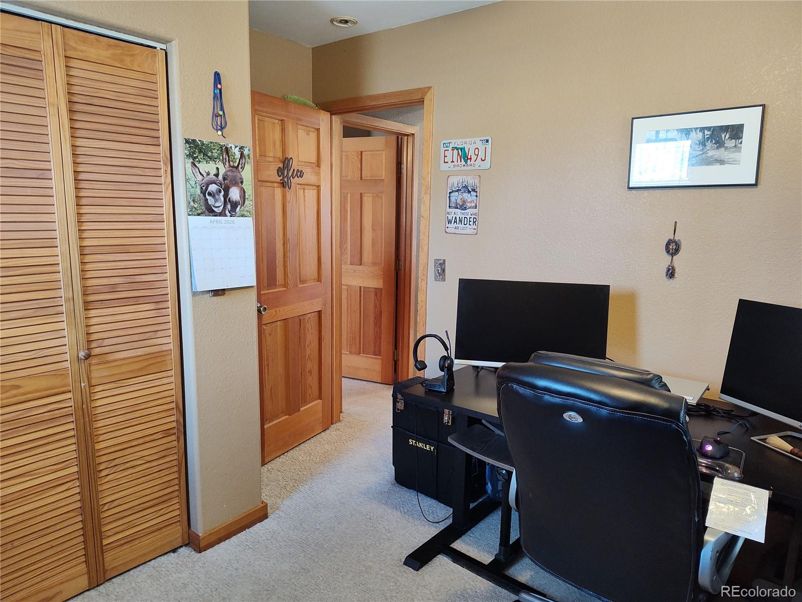 MLS Image #21 for 612  sheep ridge road,fairplay, Colorado