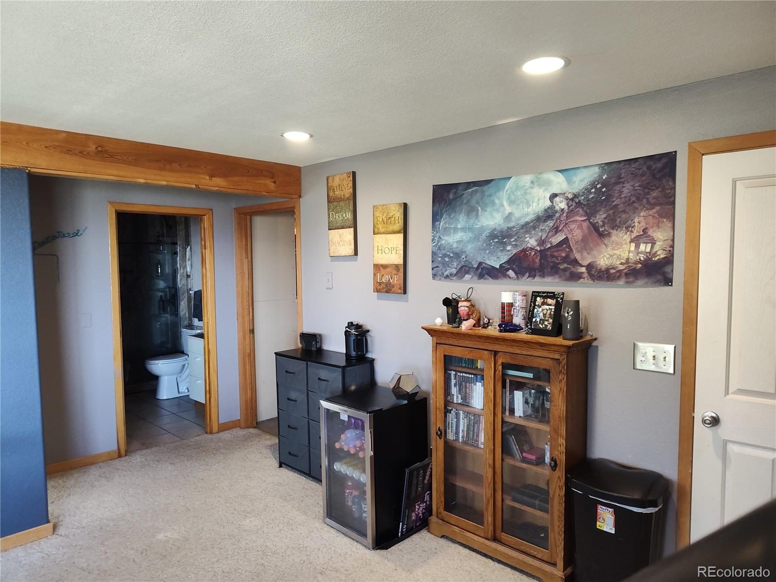 MLS Image #28 for 612  sheep ridge road,fairplay, Colorado