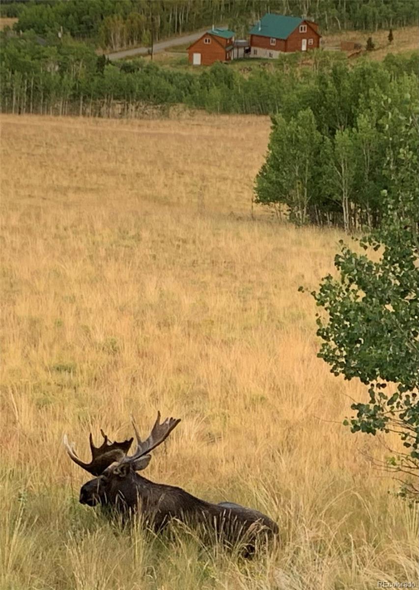 MLS Image #41 for 612  sheep ridge road,fairplay, Colorado