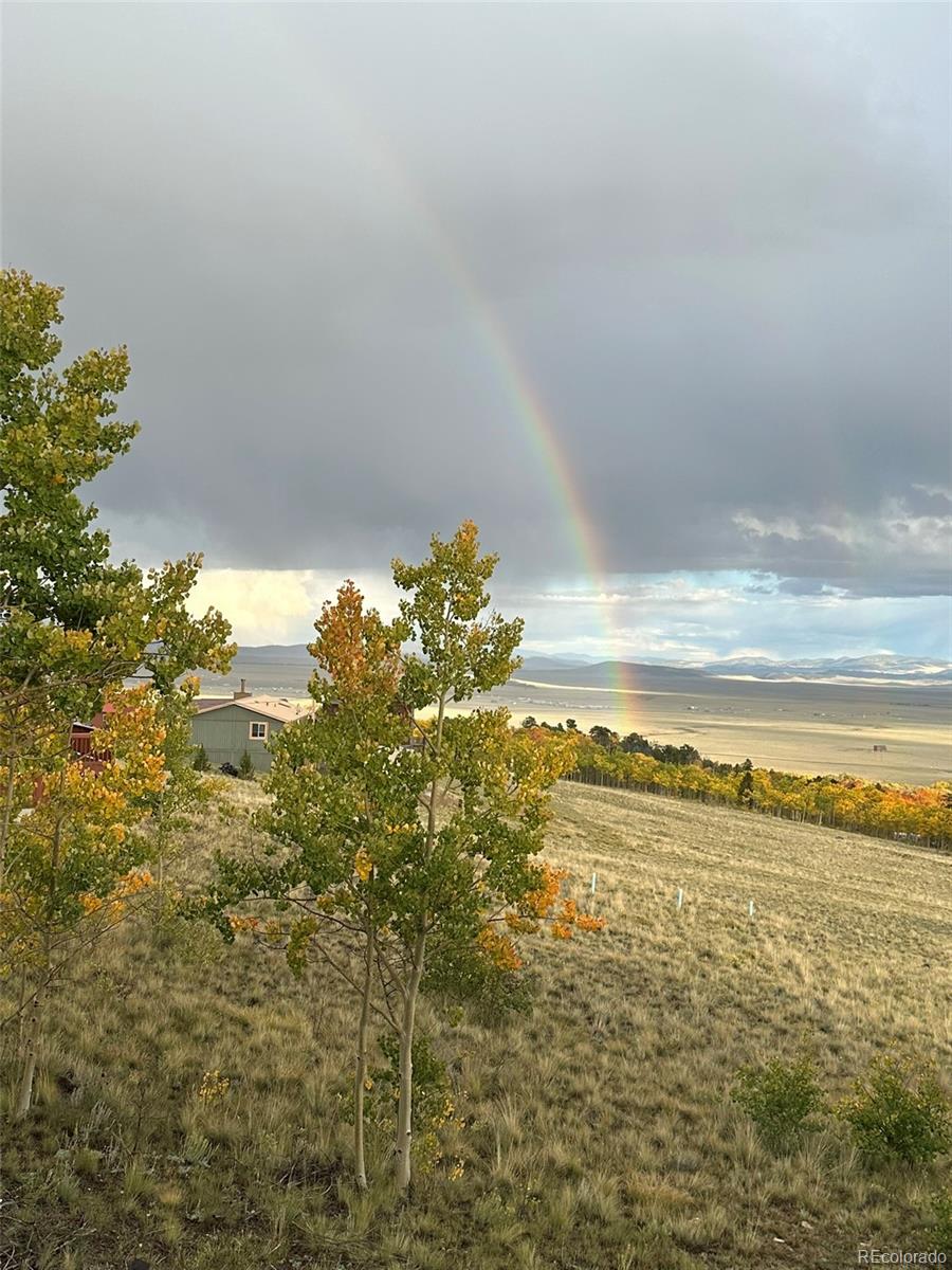 MLS Image #44 for 612  sheep ridge road,fairplay, Colorado