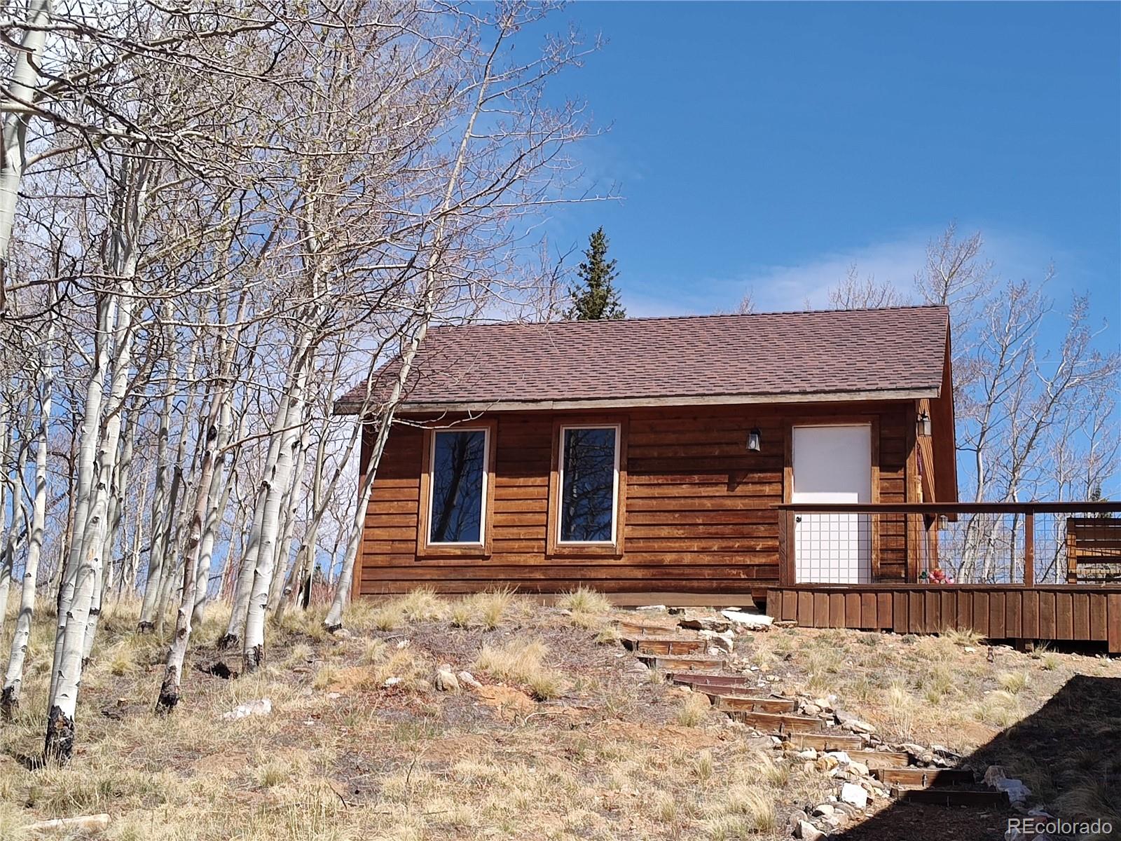 MLS Image #5 for 612  sheep ridge road,fairplay, Colorado
