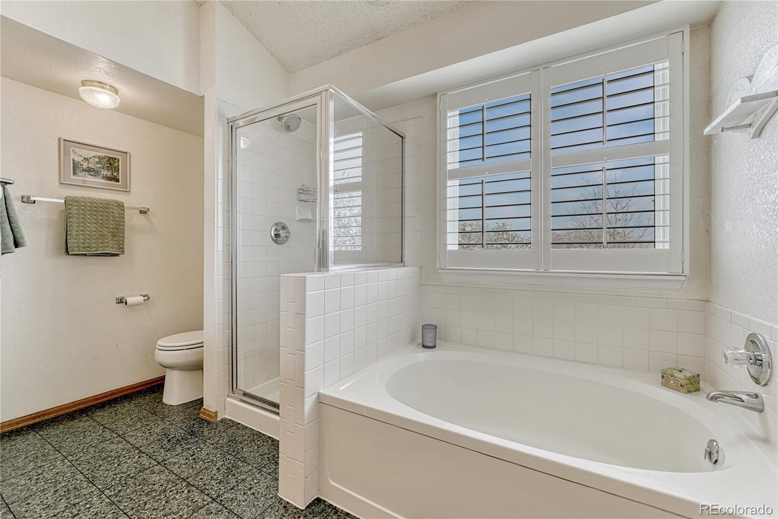 MLS Image #22 for 6170 s summer ridge way,castle rock, Colorado