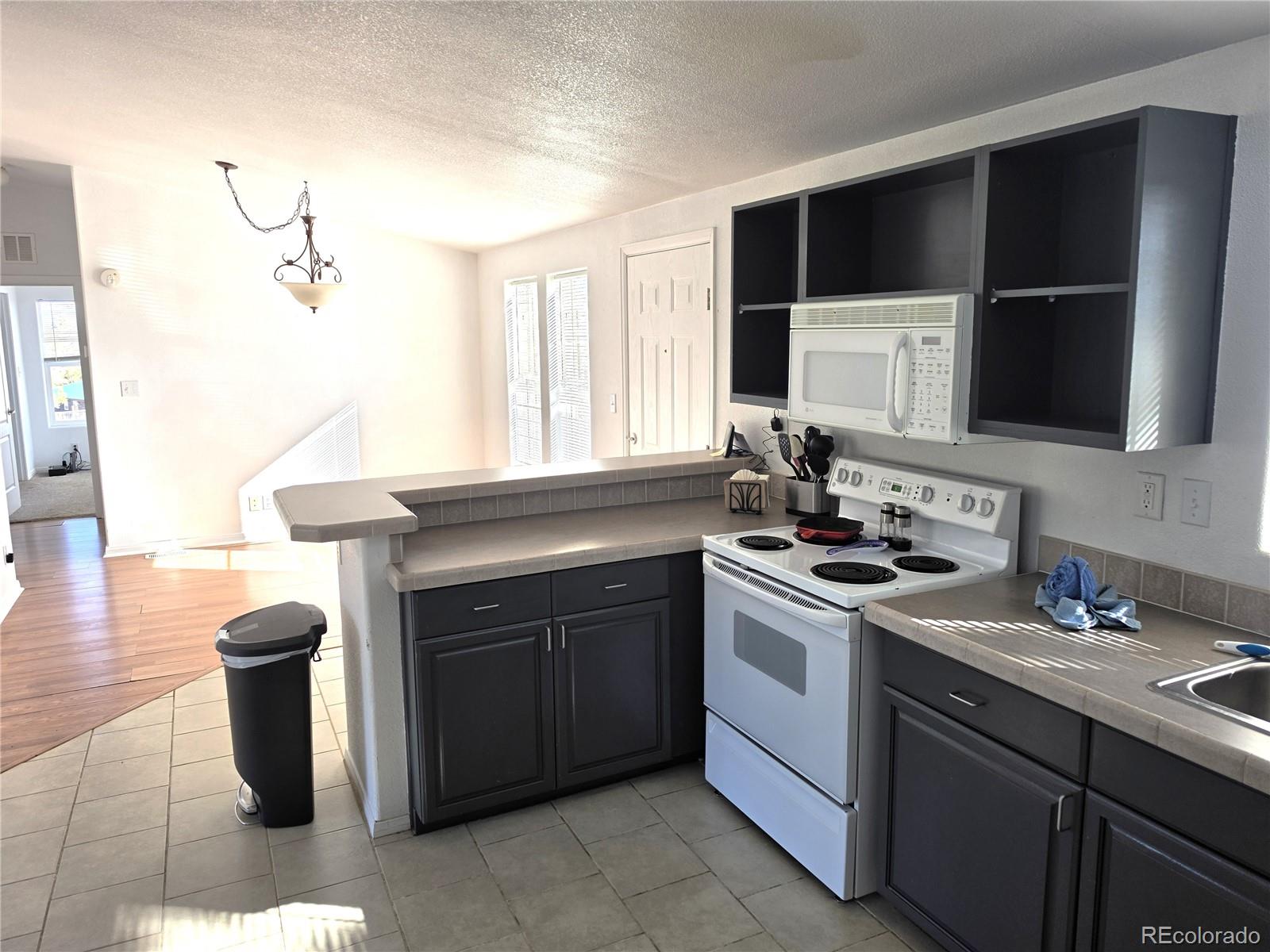 MLS Image #4 for 3580  singletree road,hartsel, Colorado