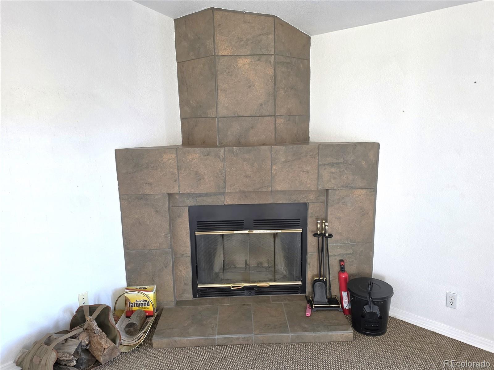 MLS Image #6 for 3580  singletree road,hartsel, Colorado