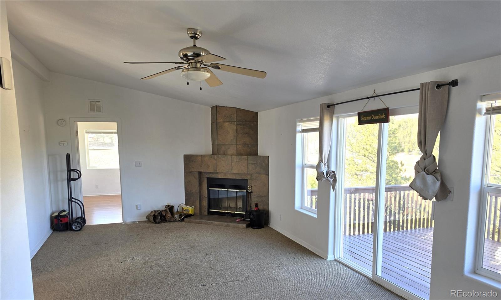 MLS Image #7 for 3580  singletree road,hartsel, Colorado