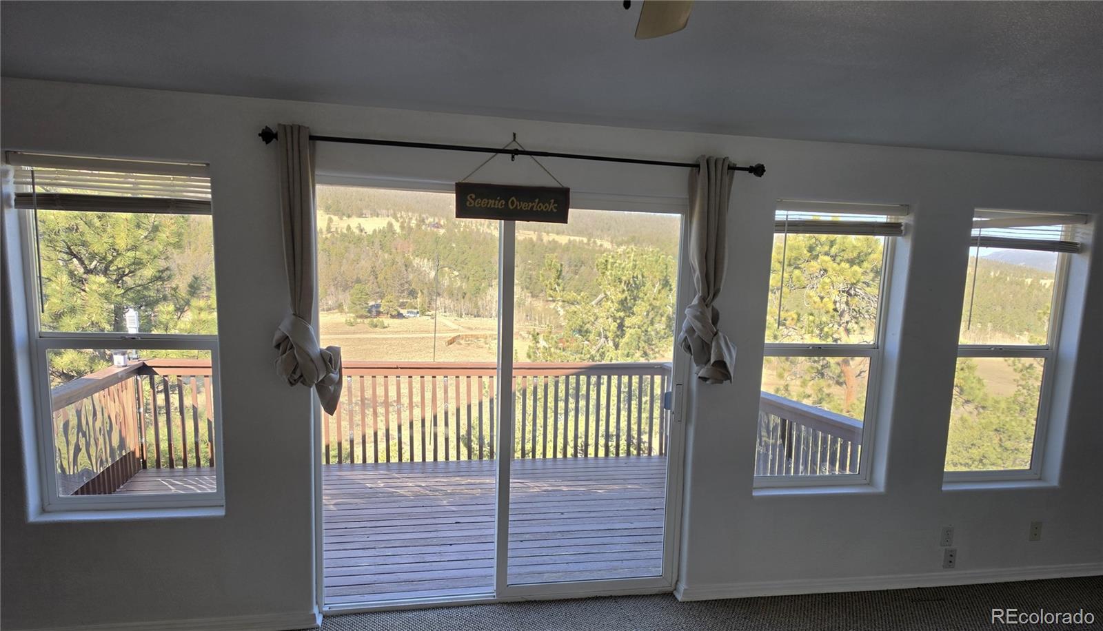 MLS Image #8 for 3580  singletree road,hartsel, Colorado