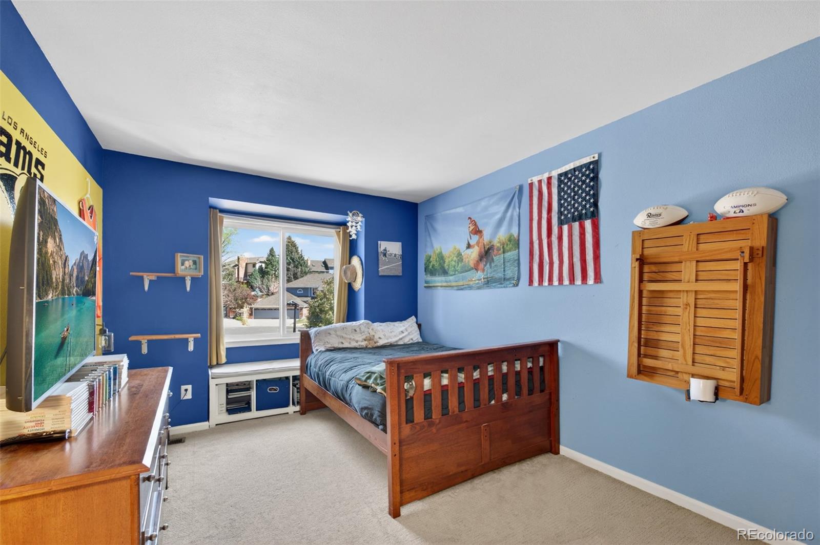 MLS Image #23 for 132  willowleaf drive,littleton, Colorado