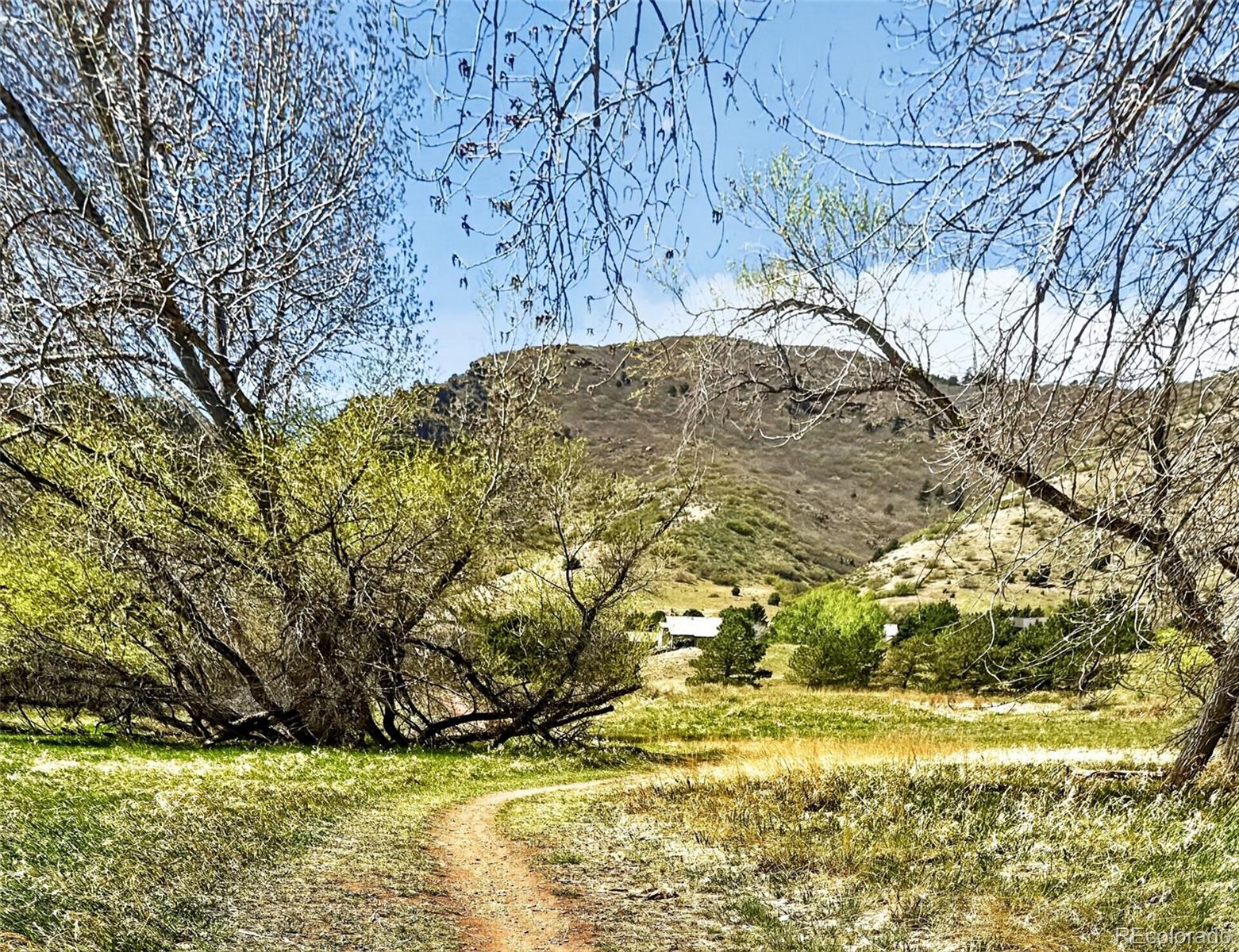 MLS Image #43 for 132  willowleaf drive,littleton, Colorado