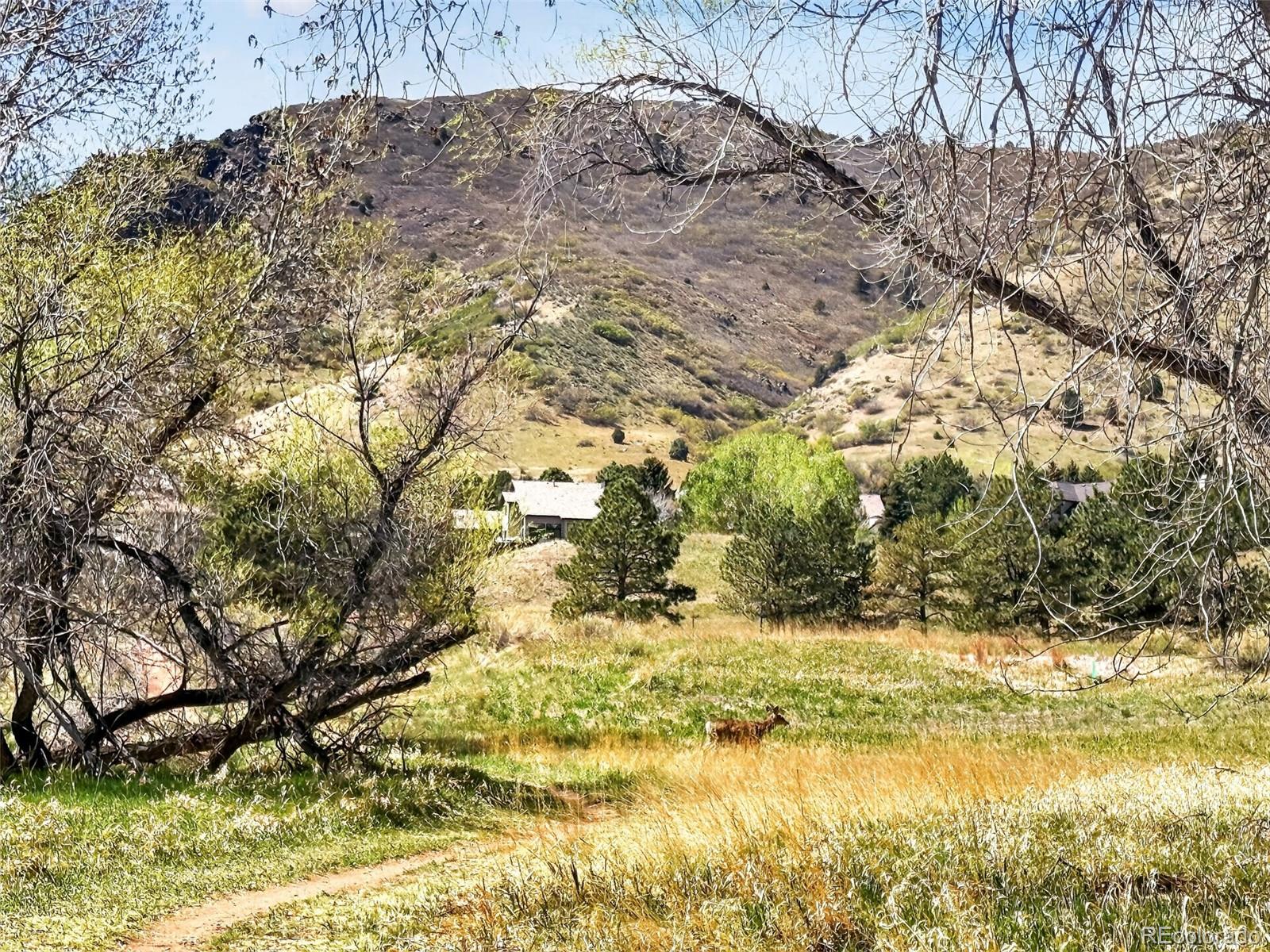MLS Image #45 for 132  willowleaf drive,littleton, Colorado