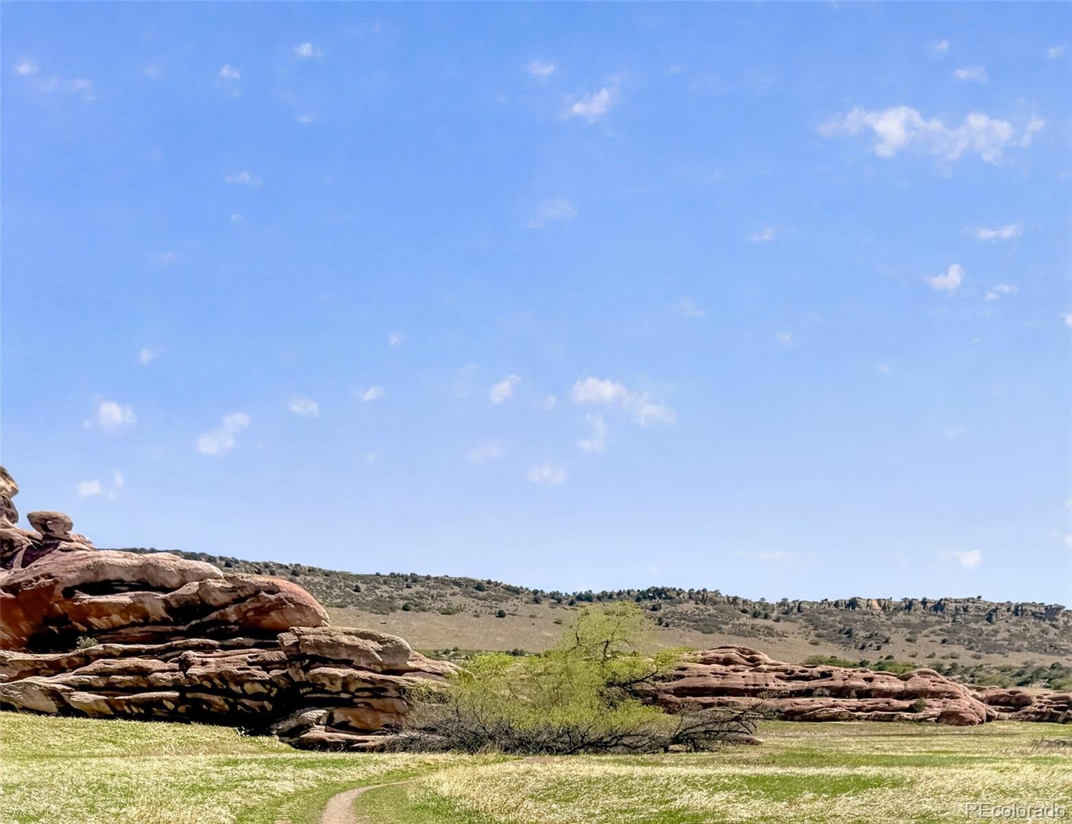 MLS Image #46 for 132  willowleaf drive,littleton, Colorado