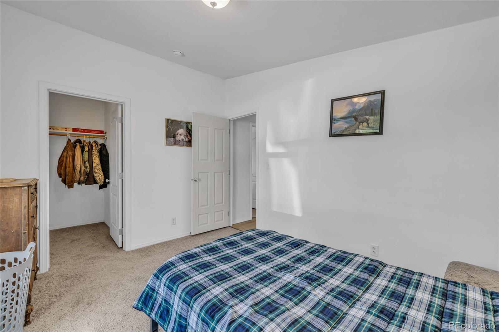 MLS Image #14 for 336  lilac circle,lochbuie, Colorado