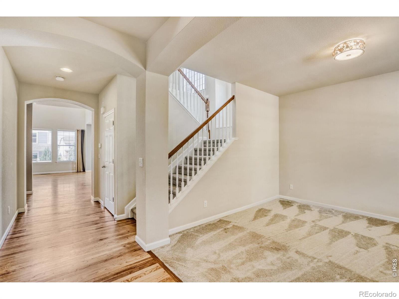 MLS Image #3 for 5016  kimberly place,longmont, Colorado