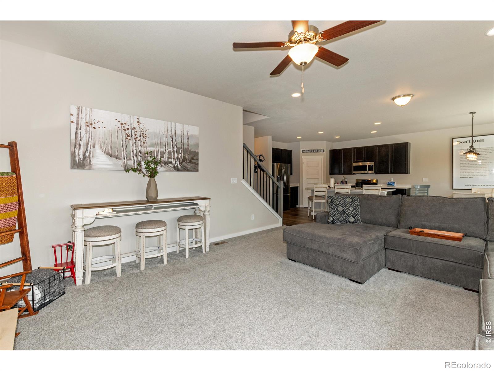 MLS Image #5 for 1249  wild basin road,severance, Colorado