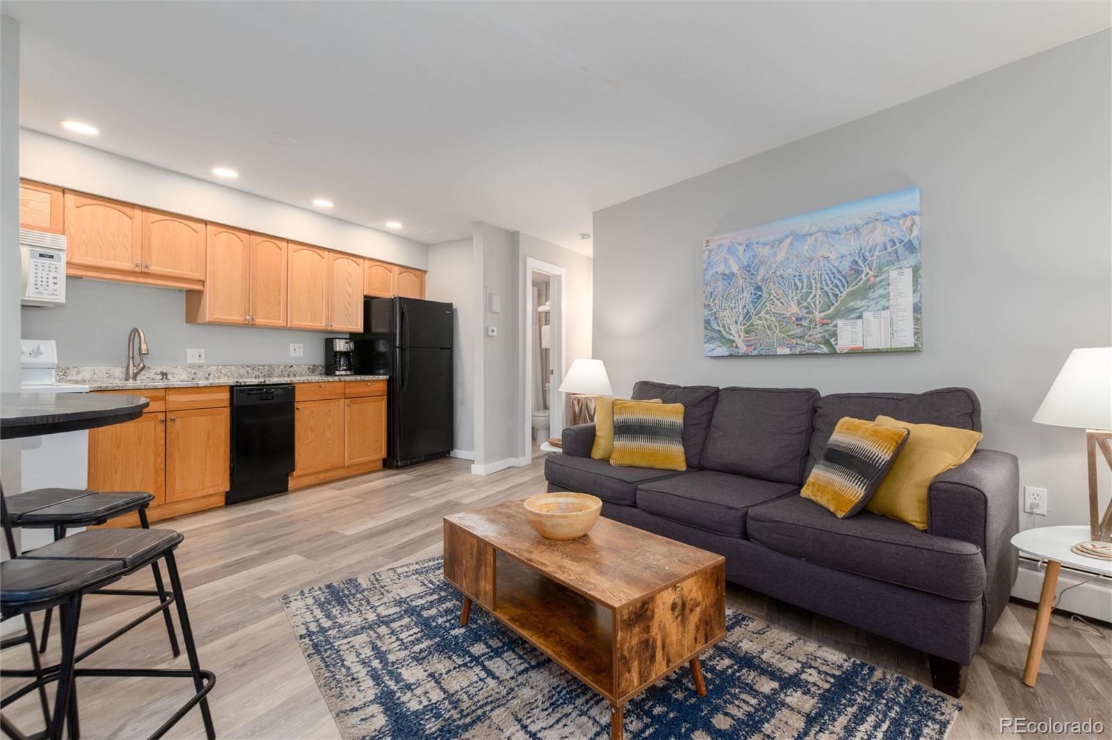 MLS Image #14 for 1140  ski hill road,breckenridge, Colorado