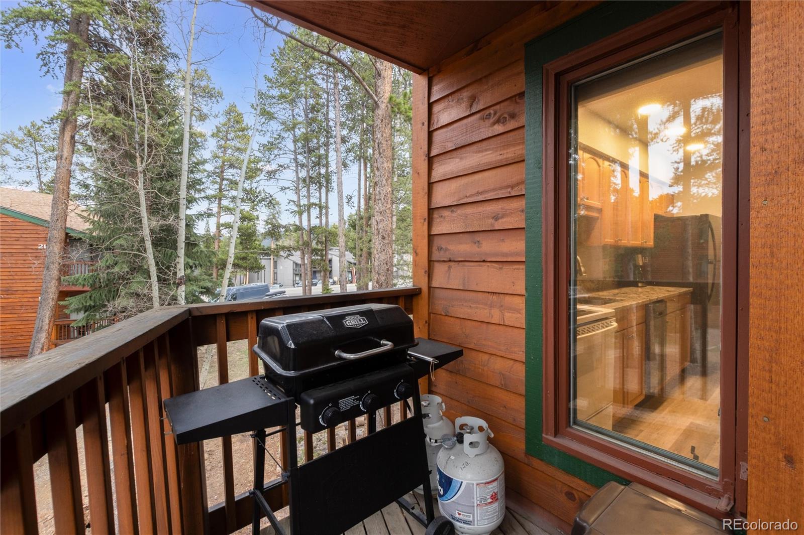 MLS Image #18 for 1140  ski hill road,breckenridge, Colorado