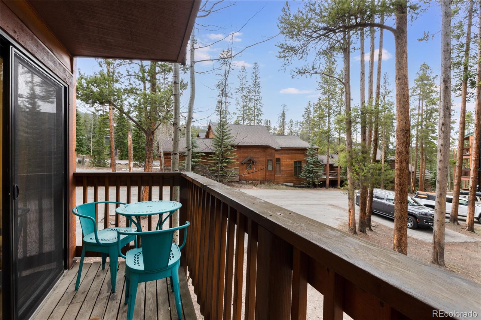 MLS Image #7 for 1140  ski hill road,breckenridge, Colorado