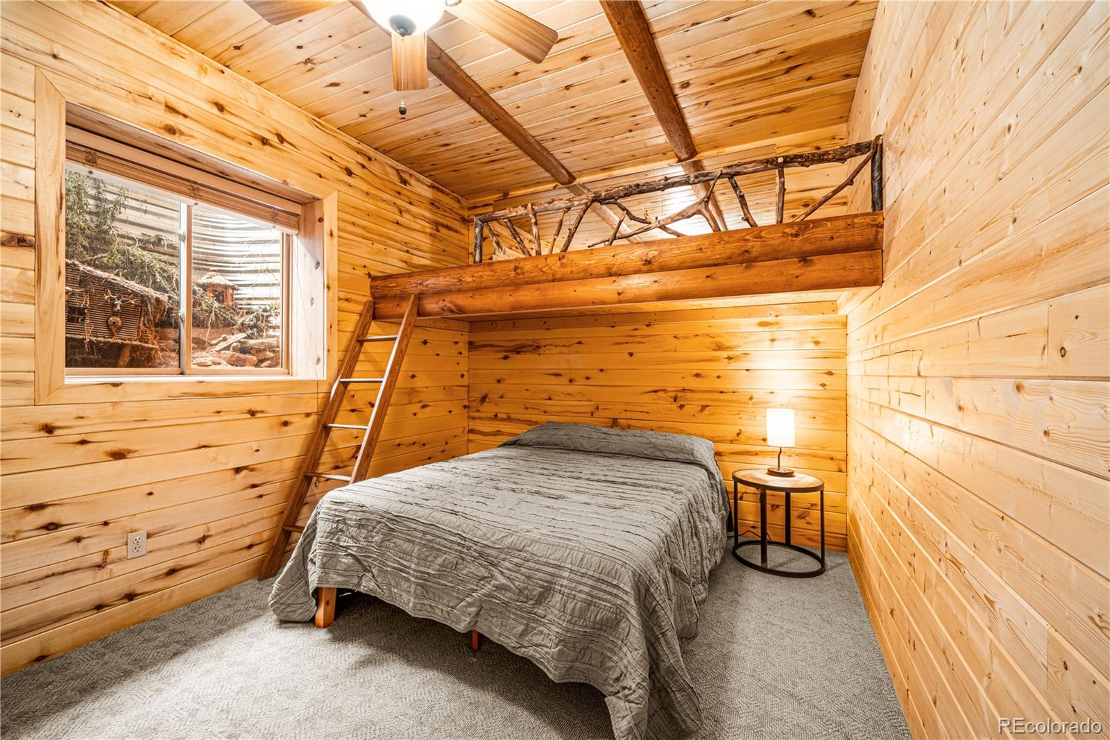 MLS Image #19 for 1614  chalice drive,westcliffe, Colorado