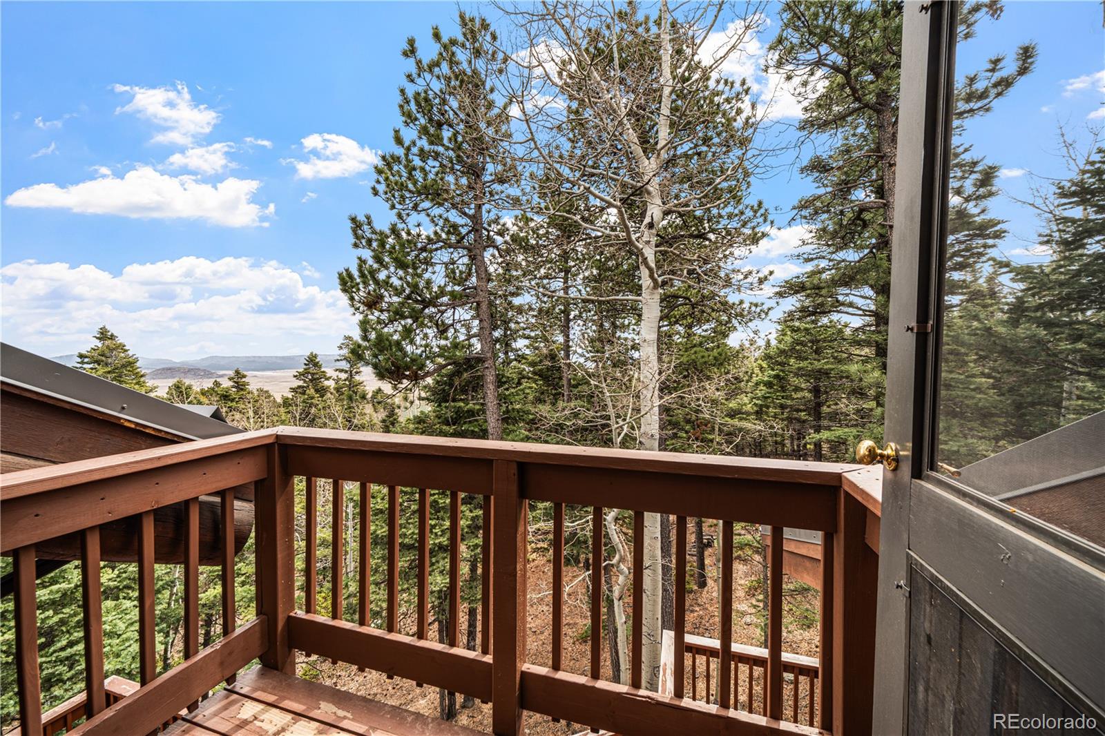 MLS Image #23 for 1614  chalice drive,westcliffe, Colorado