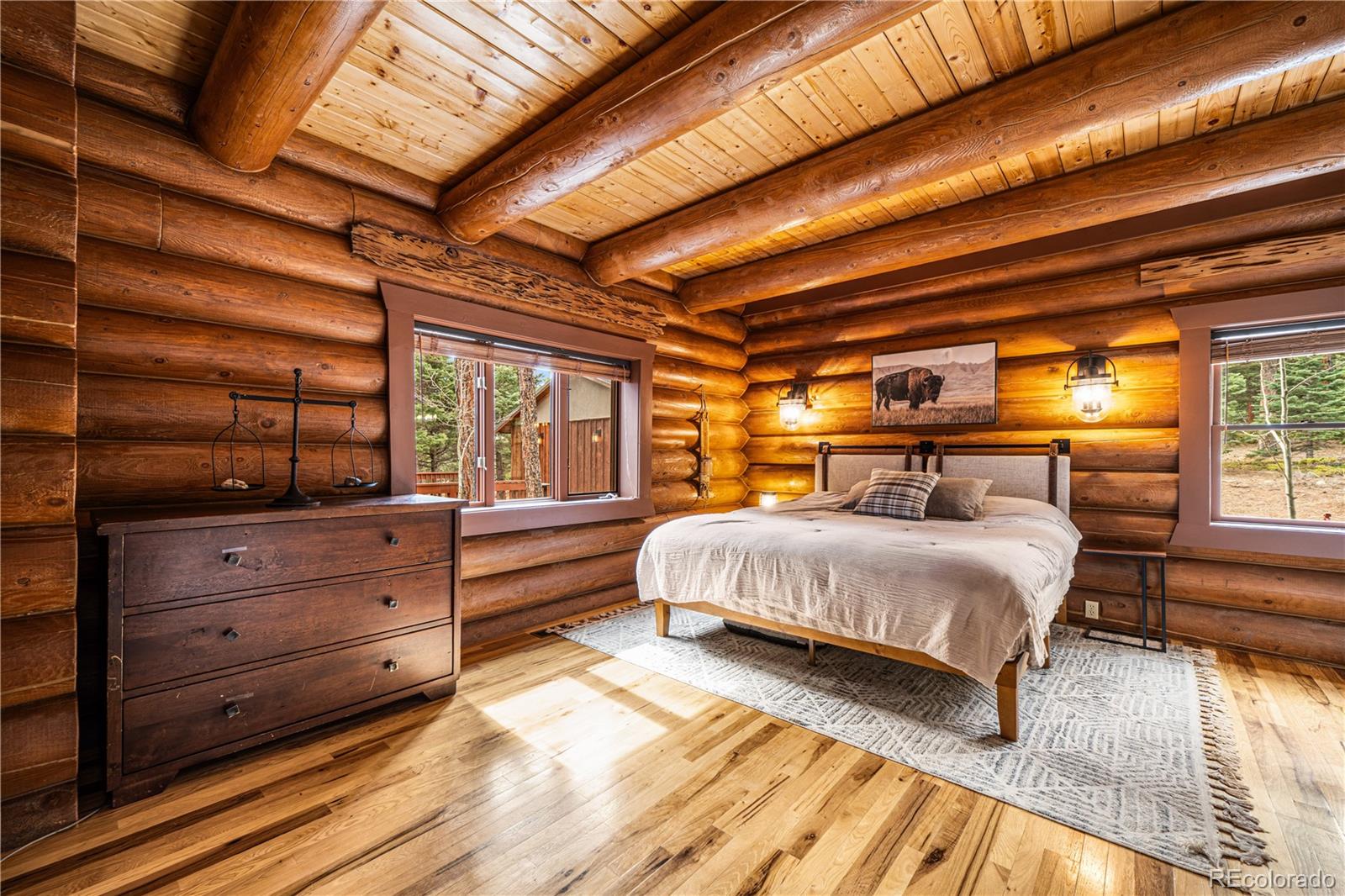 MLS Image #9 for 1614  chalice drive,westcliffe, Colorado
