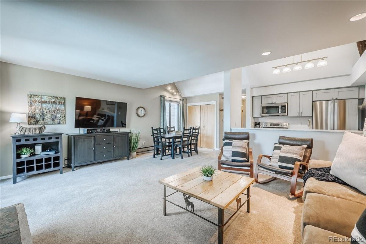 MLS Image #2 for 165  argentine court,keystone, Colorado