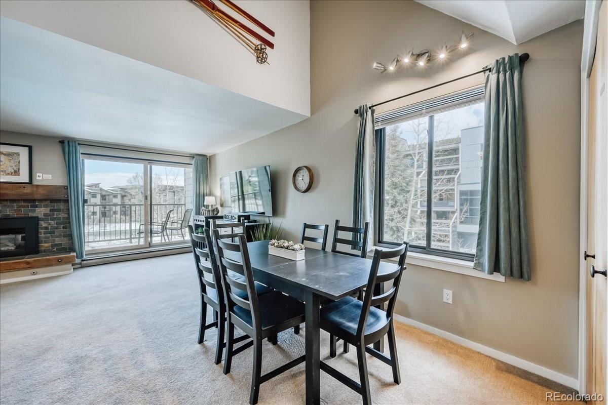 MLS Image #8 for 165  argentine court,keystone, Colorado